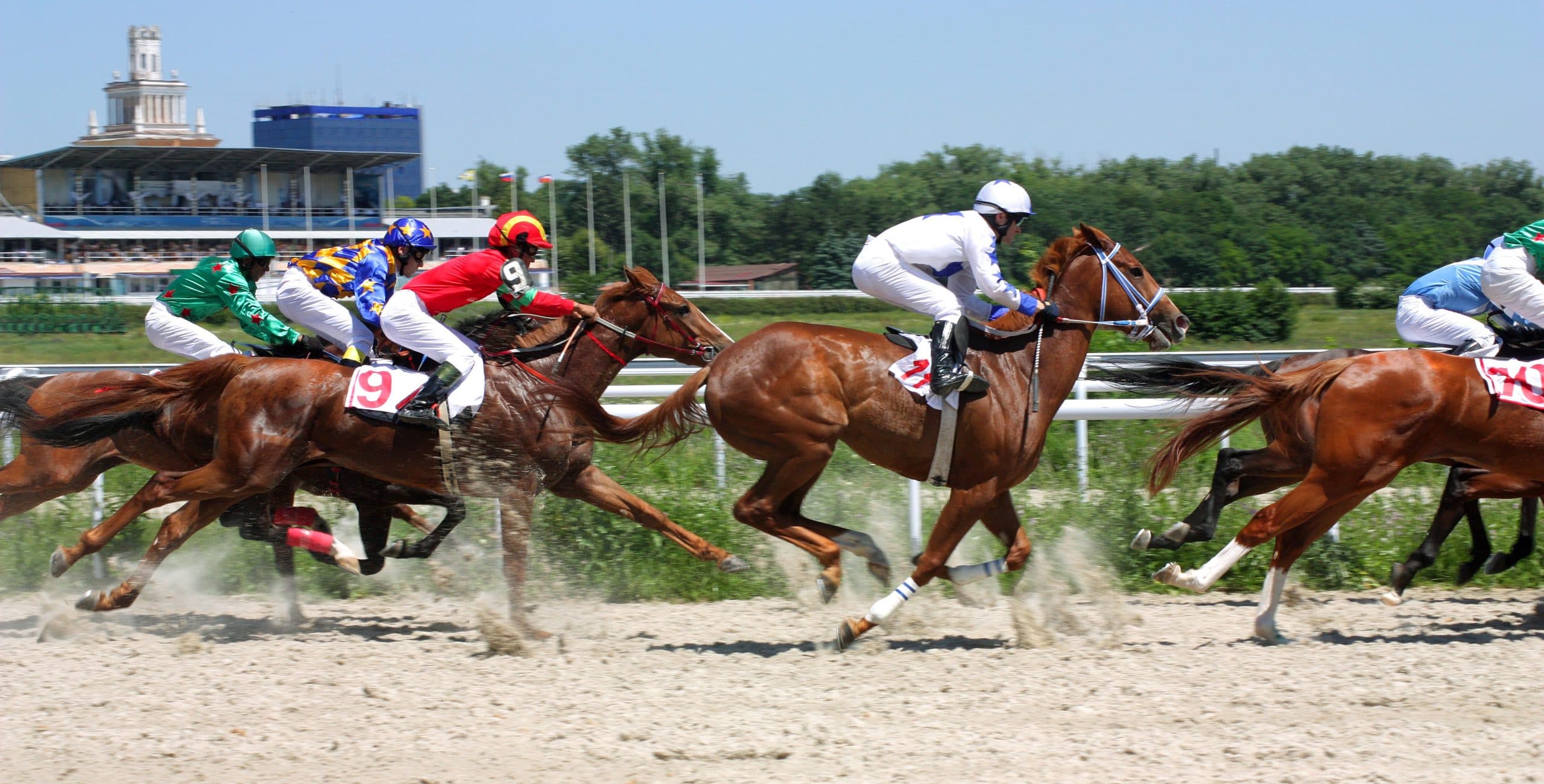 Focused on Equine Reproductive Care
