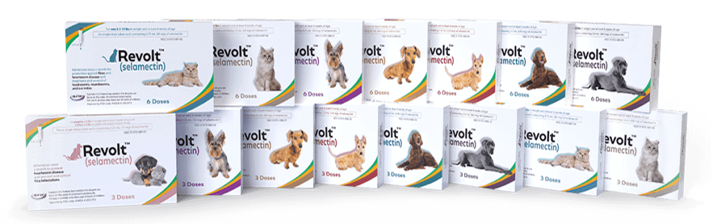 REVOLT® for Cats
