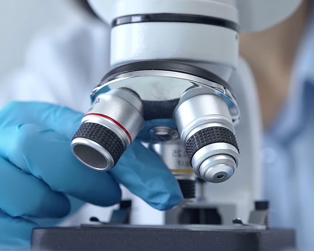 Microscope Zoom