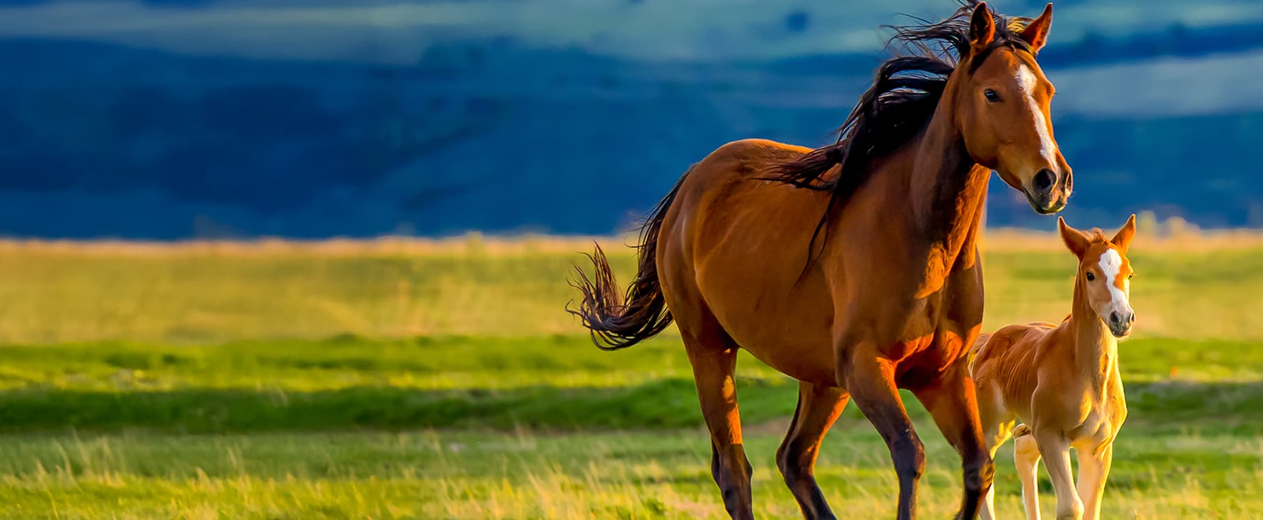 Dose It Right <br/>The First Time - <b>Every Time</b>