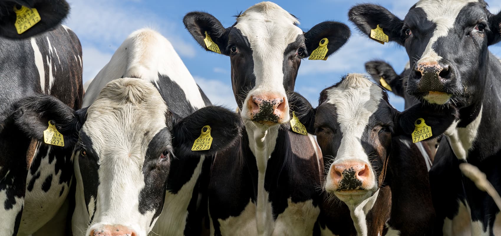 Forgot Your Password?