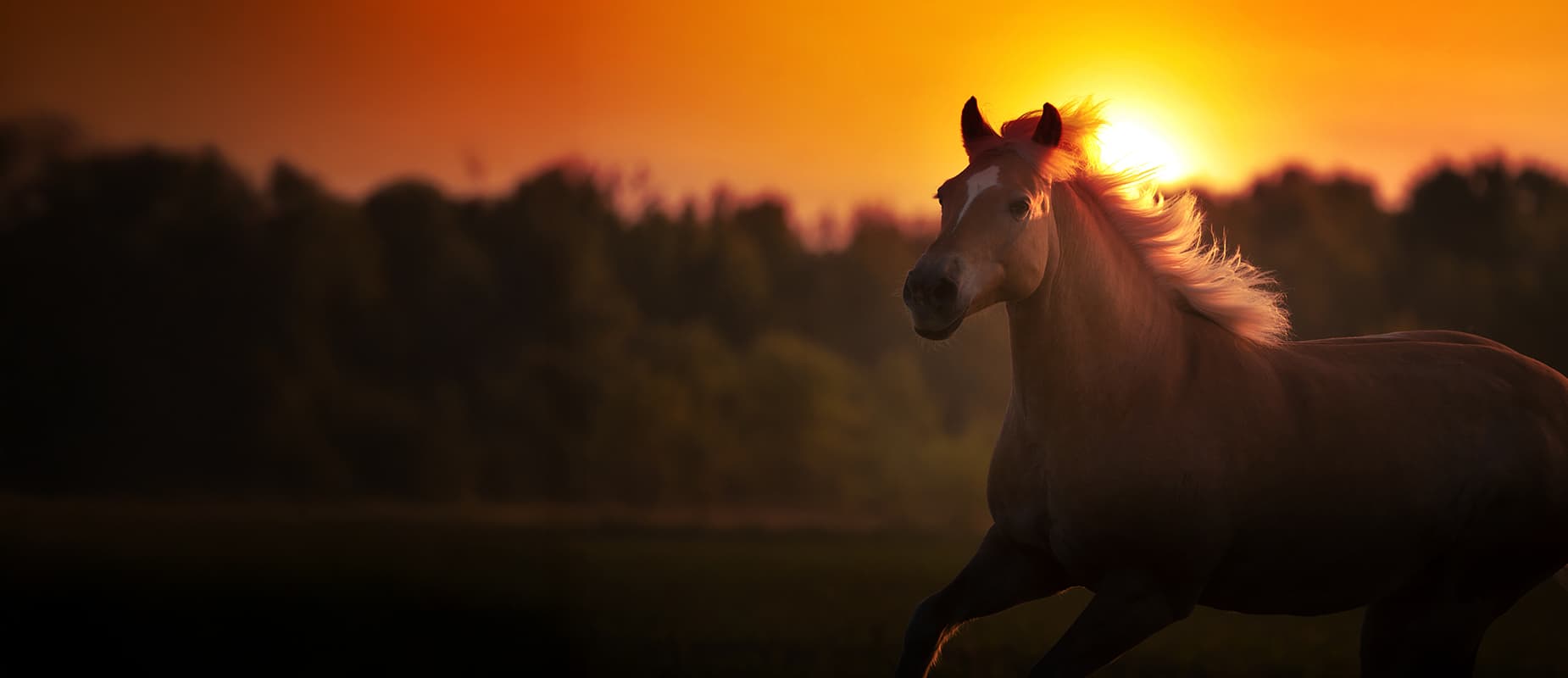 Want to Unbox Something from the Heartland?