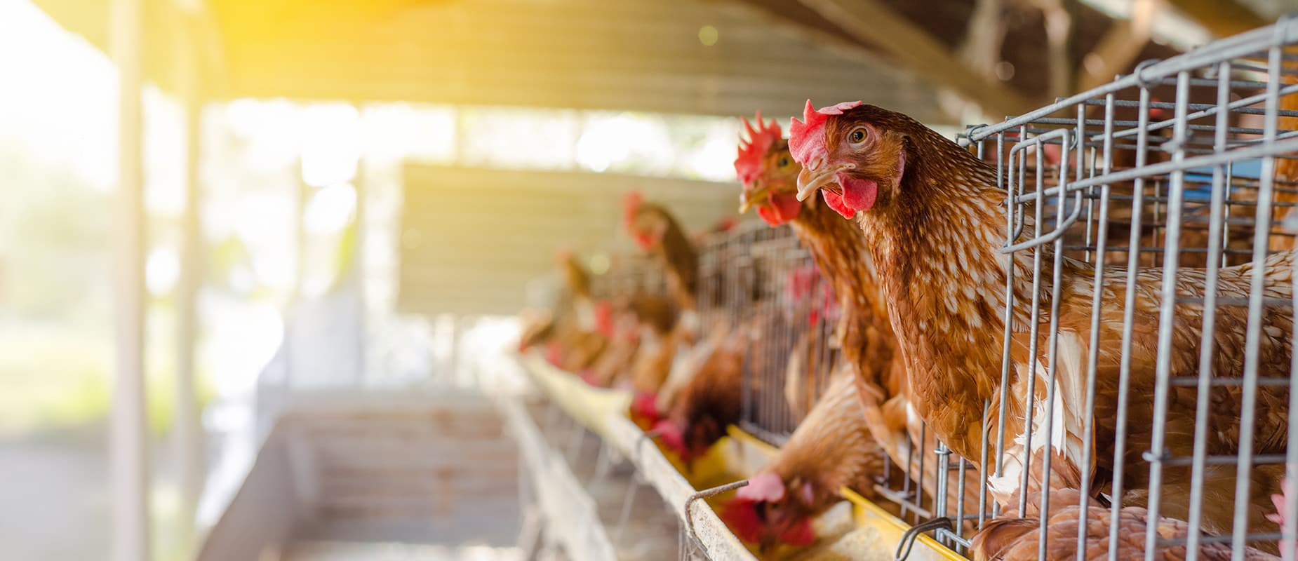 Want to Unbox Something from the Heartland?