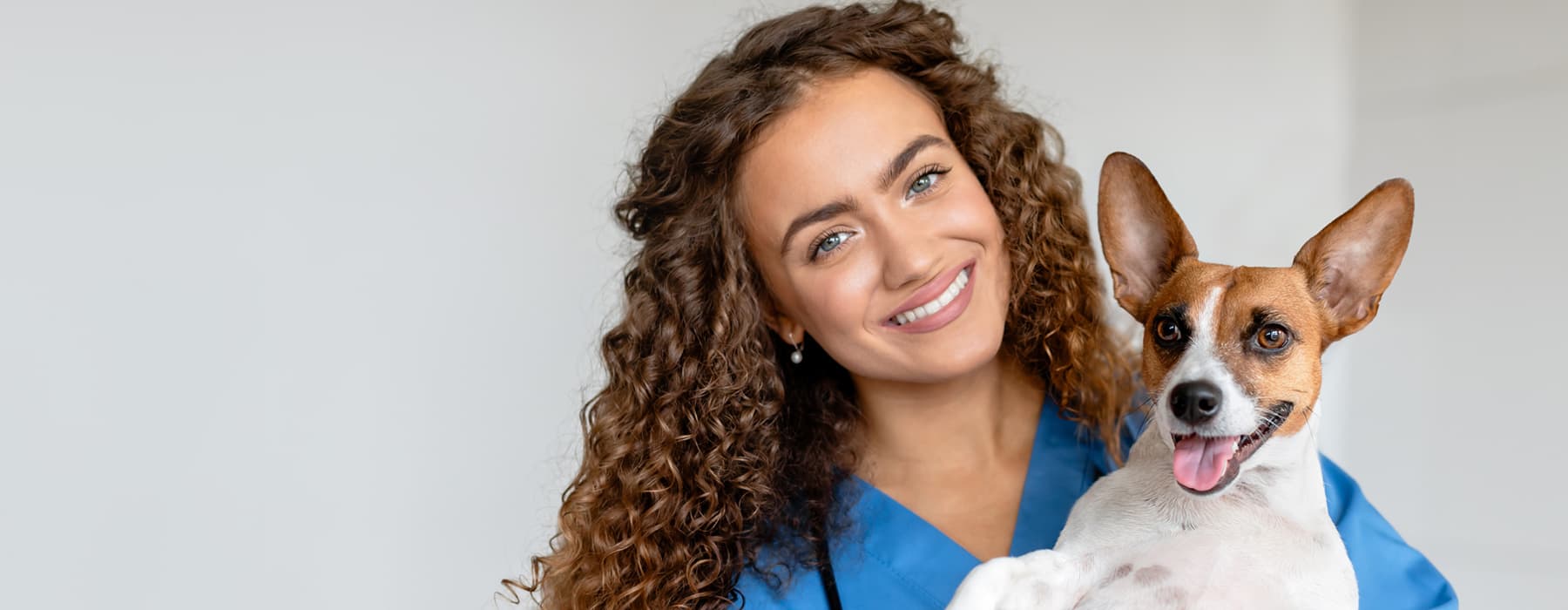 Welcome to the Veterinarian Portal