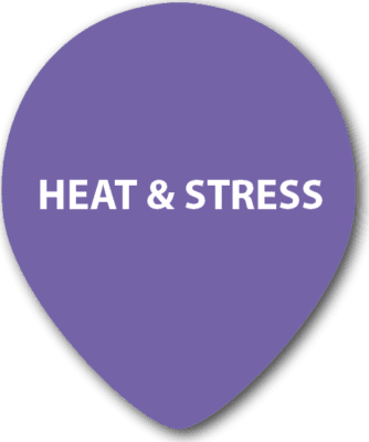 Equine Heat & Stress