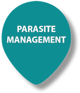 Pet Parasite Management